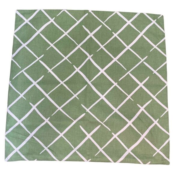 Green White Trellis Pattern Indoor Outdoor Throw Pillow Cover Thick Case 20” - Picture 1 of 5